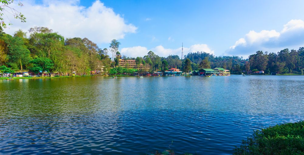 Kodaikanal View