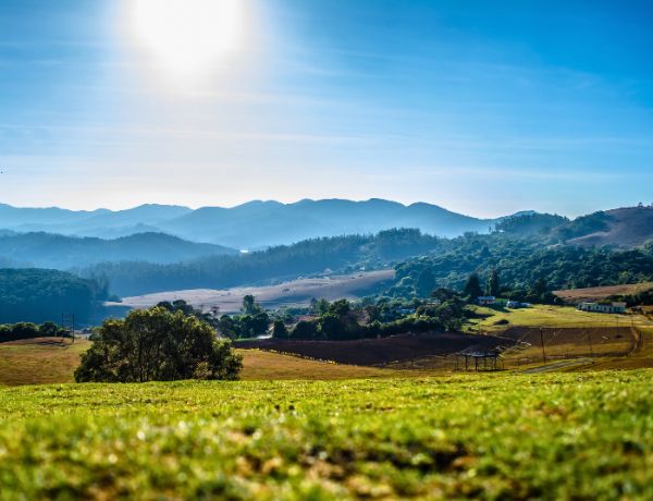 Madurai Kodaikanal Ooty Coorg Mysore Bangalore Tour