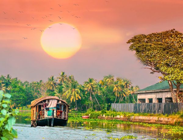 Madurai Kodaikanal Thekkady Munnar Alleppey Kochi Tour