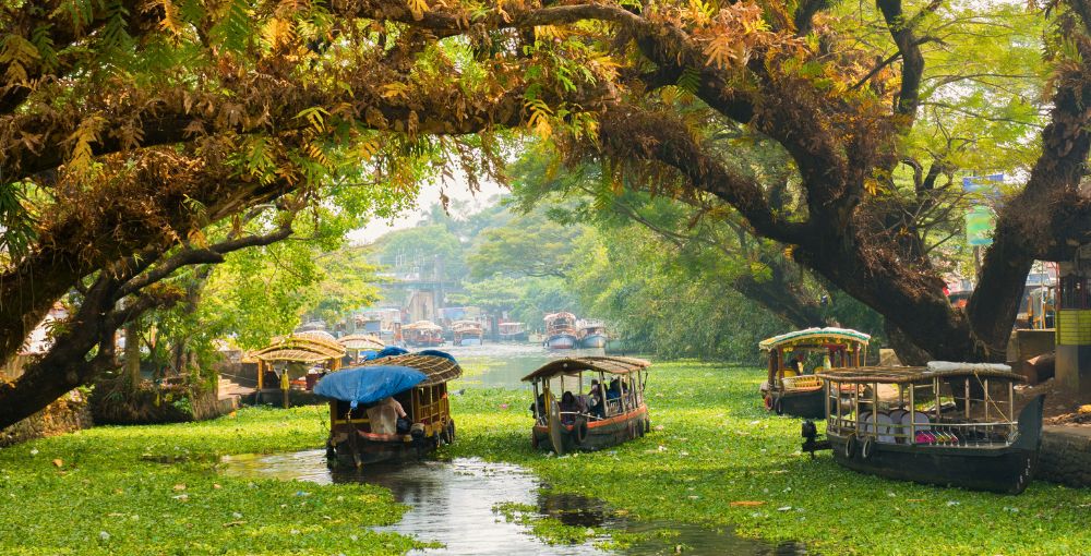 Madurai Thekkady Alleppey Kochi Trip Package