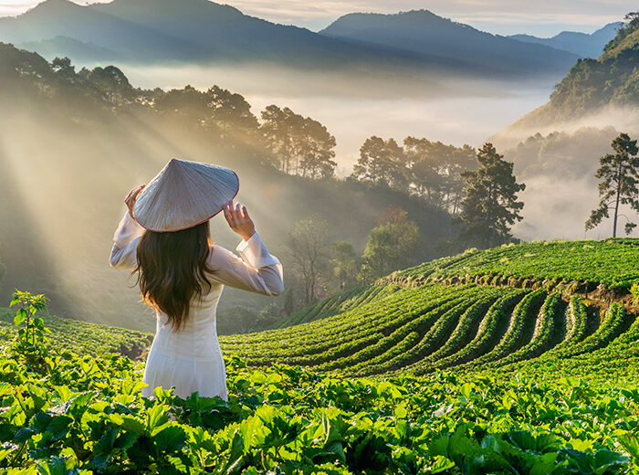 Top Tourist Attractions in Kodaikanal