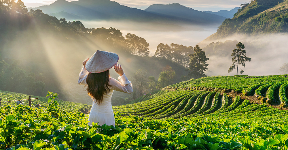 Top Tourist Attractions in Kodaikanal