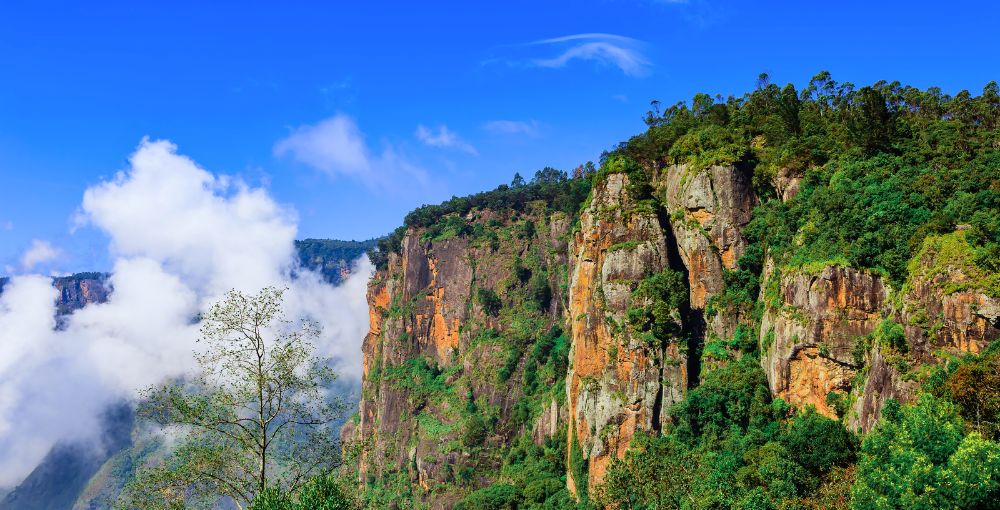 Tour Package Kodaikanal