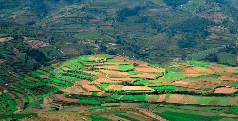 Trip Package Kodaikanal