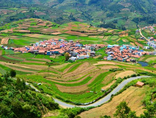 2 Nights and 3 Days Kodaikanal Tour Package