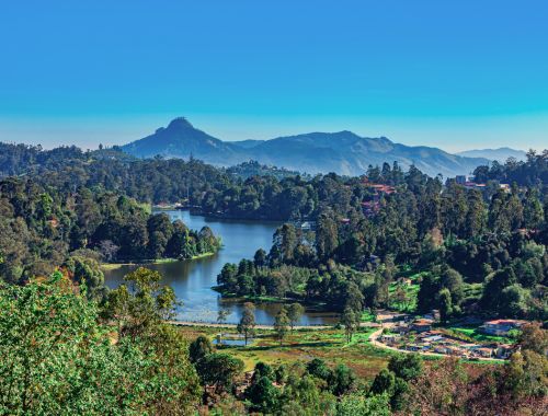 3 Nights and 4 Days Kodaikanal Tour Package