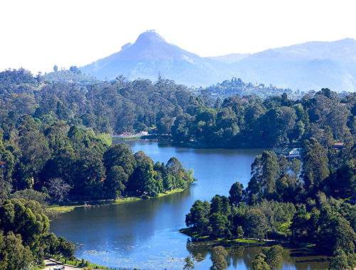 best kodaikanal tour package