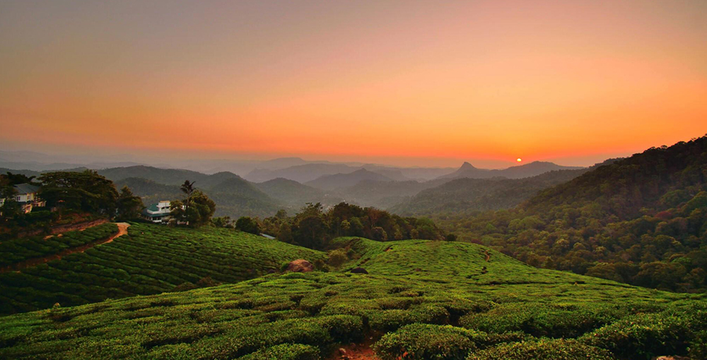 kerala ayurveda tours