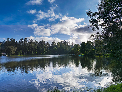 kodaikanal ooty mysore bangalore tour