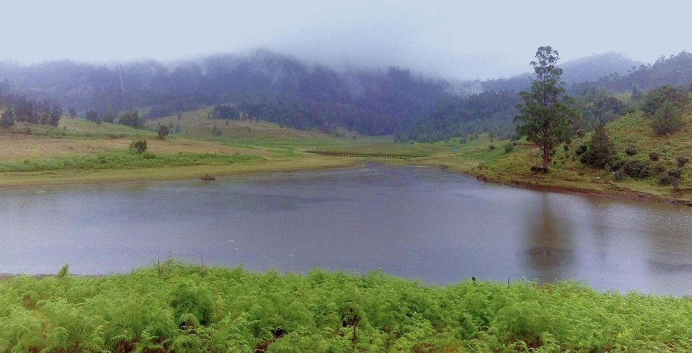 kodaikanal packages