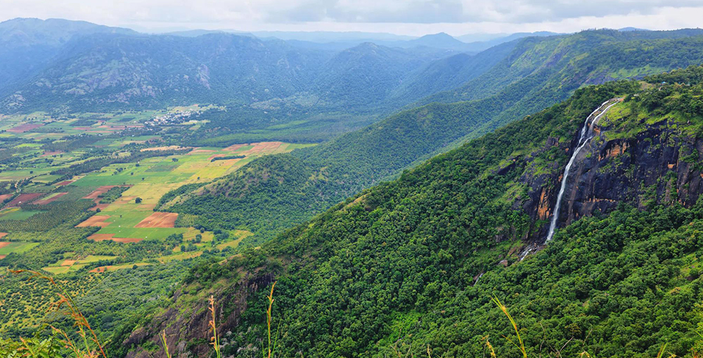 kodaikanal thekkady munnar tour package