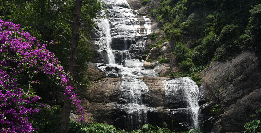 kodaikanal thekkady munnar tour packages