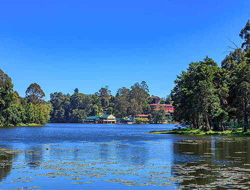 kodaikanal thekkady munnar tour