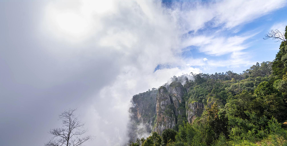 kodaikanal tour packages